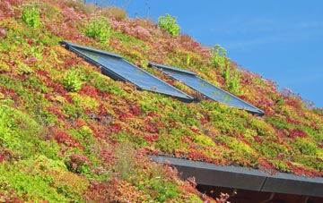 Ashton Keynes living roof systems